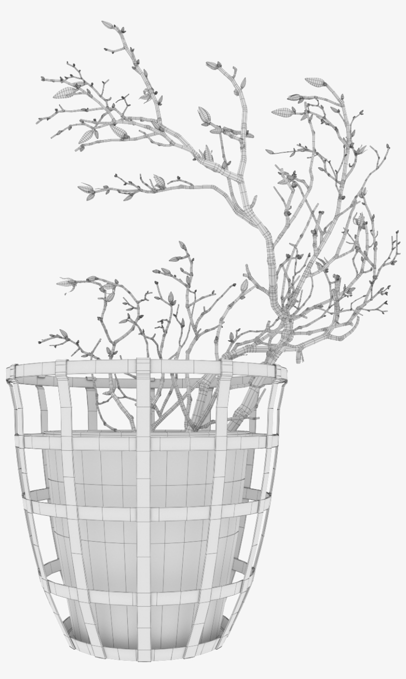 Magnolia 03 - Flowerpot, transparent png download