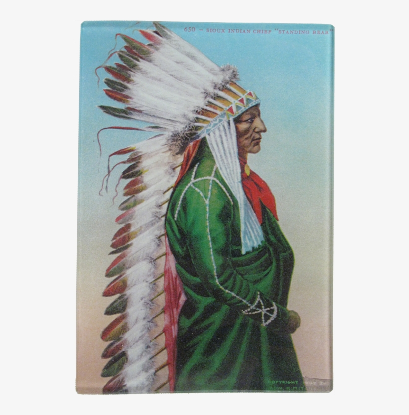 Native American Portrait - Native Americans In The United States, transparent png download