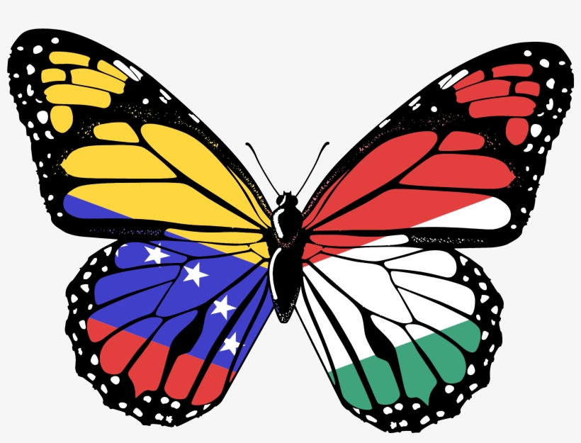 Transparent Butterfly Png Hd, transparent png download