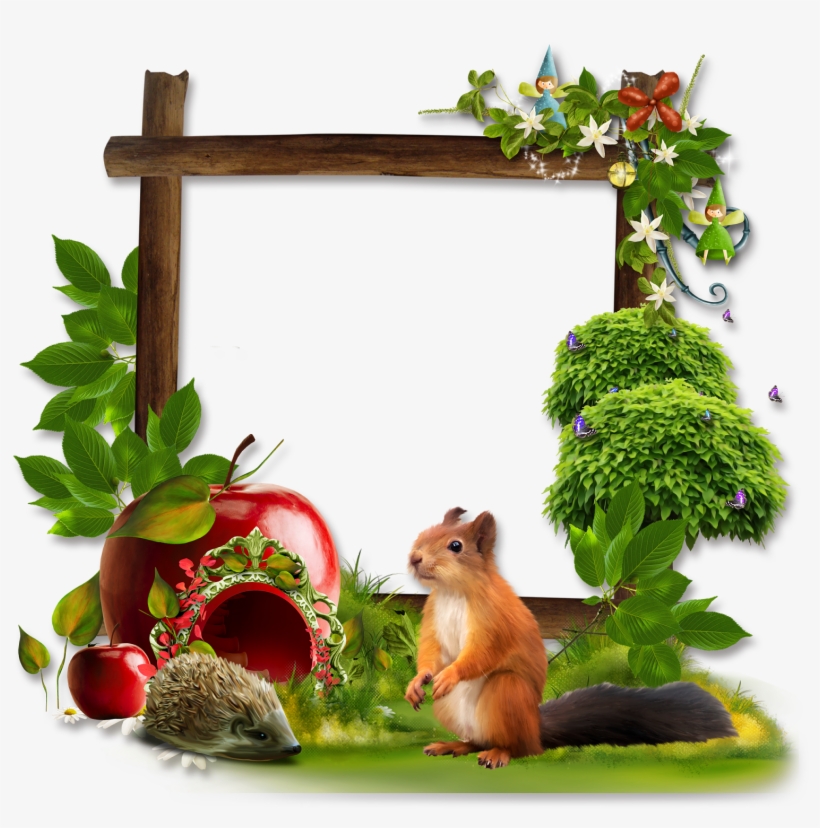 Marcos Para Fotos De Animales - Picture Frame, transparent png download