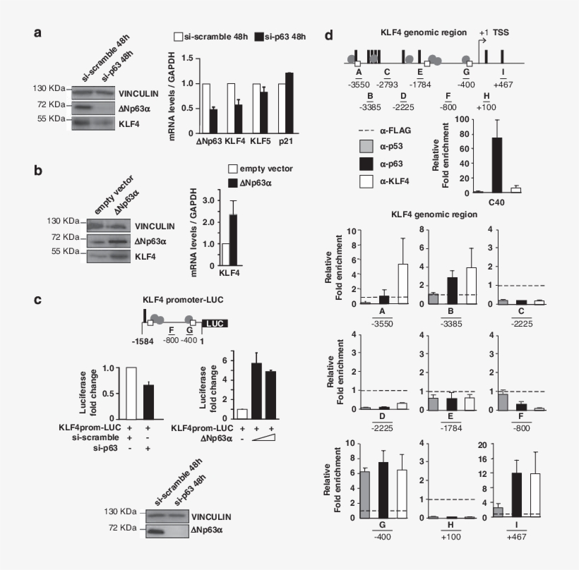 728 X 728 3 - Diagram, transparent png download