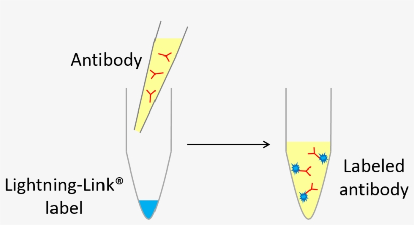 Lightning-link Process Diagram - Diagram, transparent png download