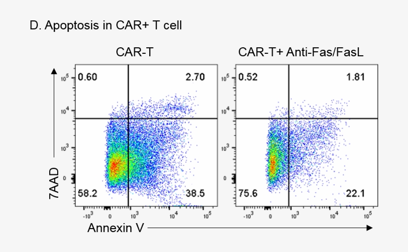 Block/neutralize Human Fas Ligand/tnfsf6 Antibody Mab126 - Diagram, transparent png download
