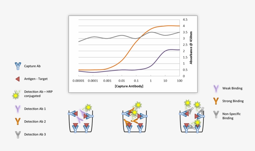 Assay Binding Performance - Cartoon, transparent png download