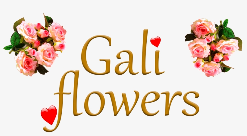 Galiflowers, transparent png download