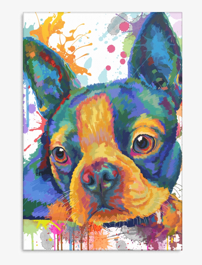 Boston Terrier Canvas - Colourful Splashes, transparent png download