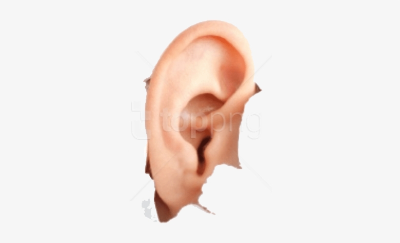 Download Human Ear Png Images Background - Hyperacusis Ear Plugs, transparent png download
