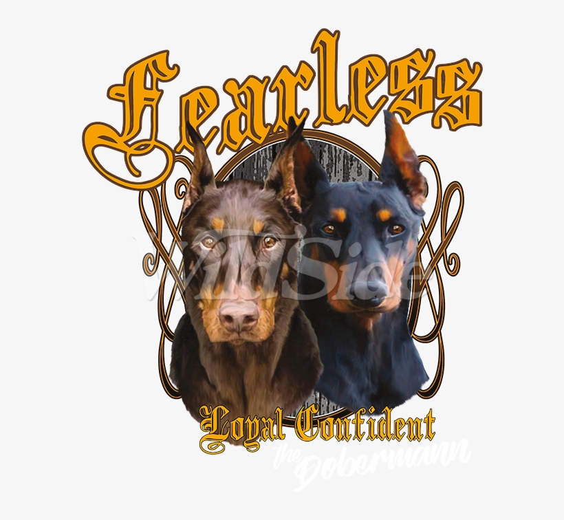 Dobermann, transparent png download