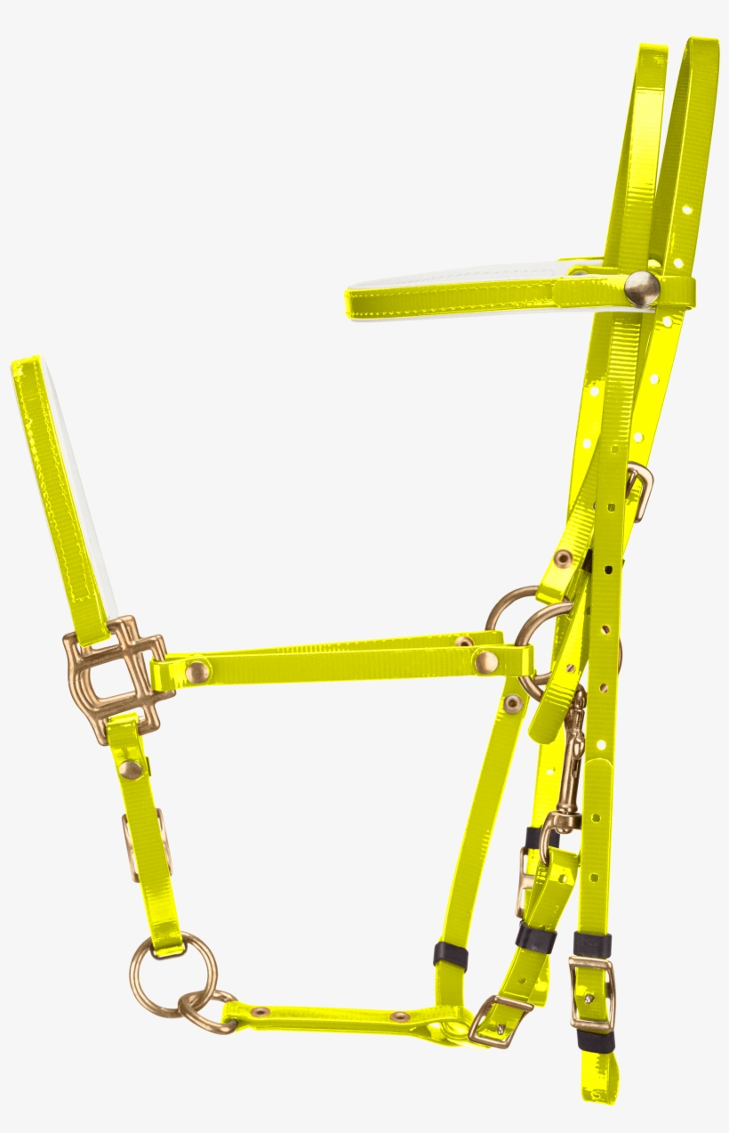 Home / Horse Bridles - Bicycle Frame, transparent png download