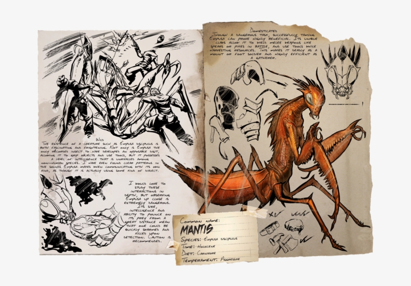 Mantis - Ark Survival Evolved Mantis, transparent png download