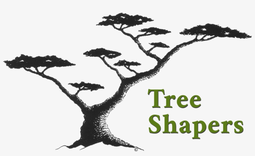 Silhouette, transparent png download