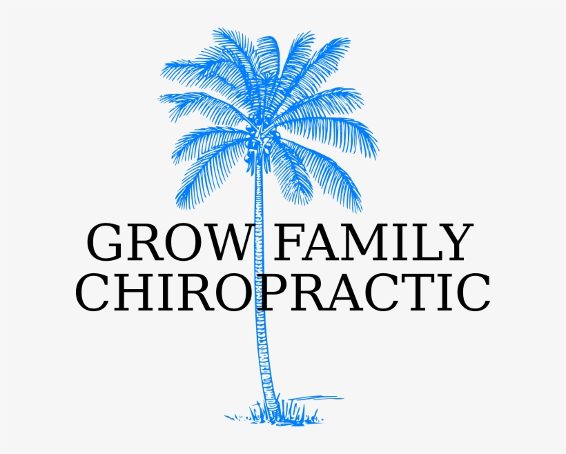 Palm Tree Clipart Straight - Attalea Speciosa, transparent png download