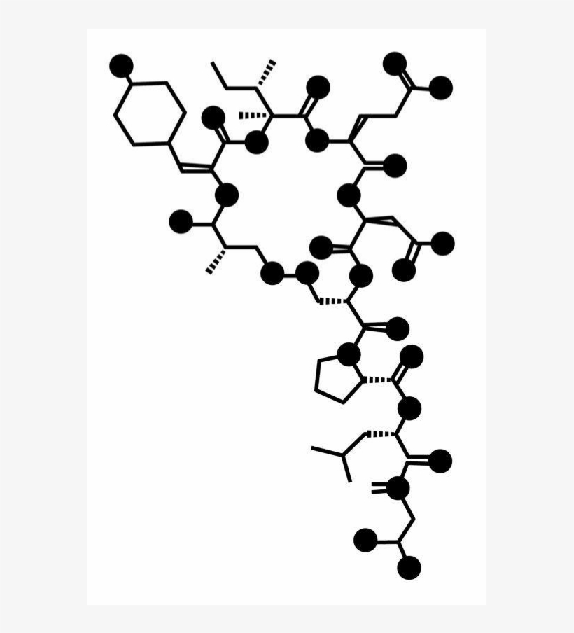 Atomdeep Tattoos Pinterest - Circle, transparent png download