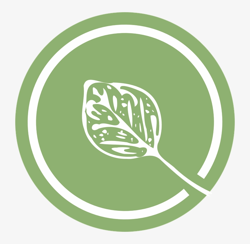 Leaf Green Logo &183 Free Vector Graphic On Pixabay - Leaf, transparent png download
