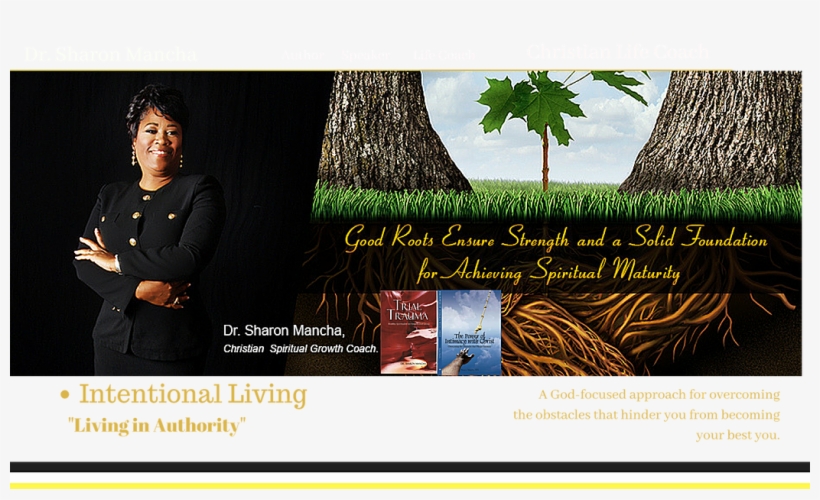 Mancha Intentional Living - پروفایل برای روز درختکاری, transparent png download