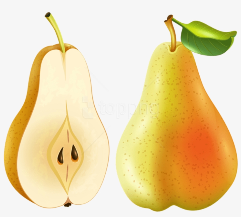 Free Png Pear Transparent Png - Pear, transparent png download