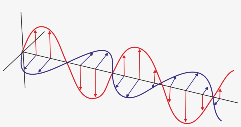 Estas Ondas No Se Trasladan, Sino Que Llenan El Espacio, - Diagram, transparent png download