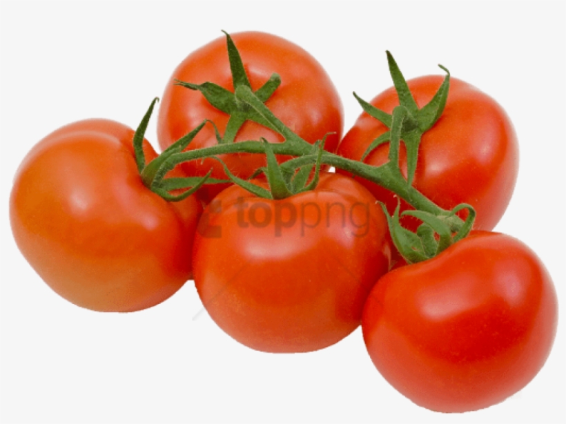 Free Png Tomatoes On The Vine Transparent Png Image - Tomatoes On The Vine Png, transparent png download