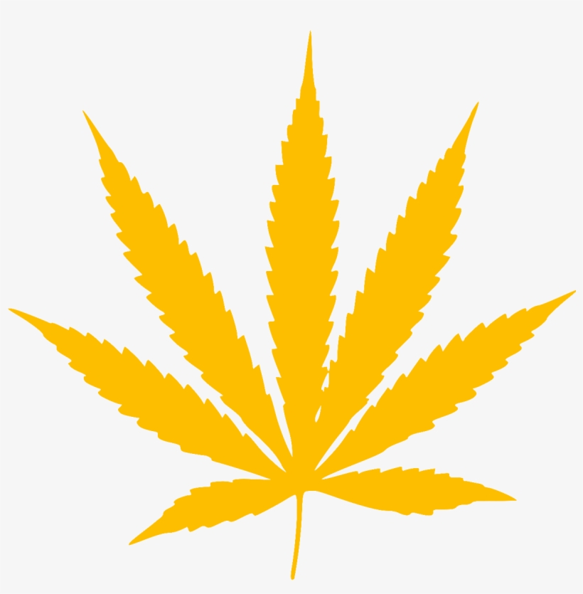 Gold Leaf - Mlg Weed Png, transparent png download