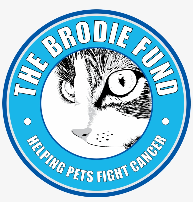 Tbf Logo Hi - Brodie Fund, transparent png download