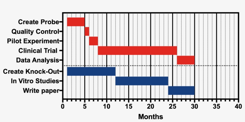 Here Is The Prism File Which You Can Adapt - Gantt Chart Prism, transparent png download