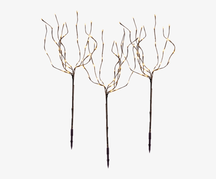 Sketch, transparent png download
