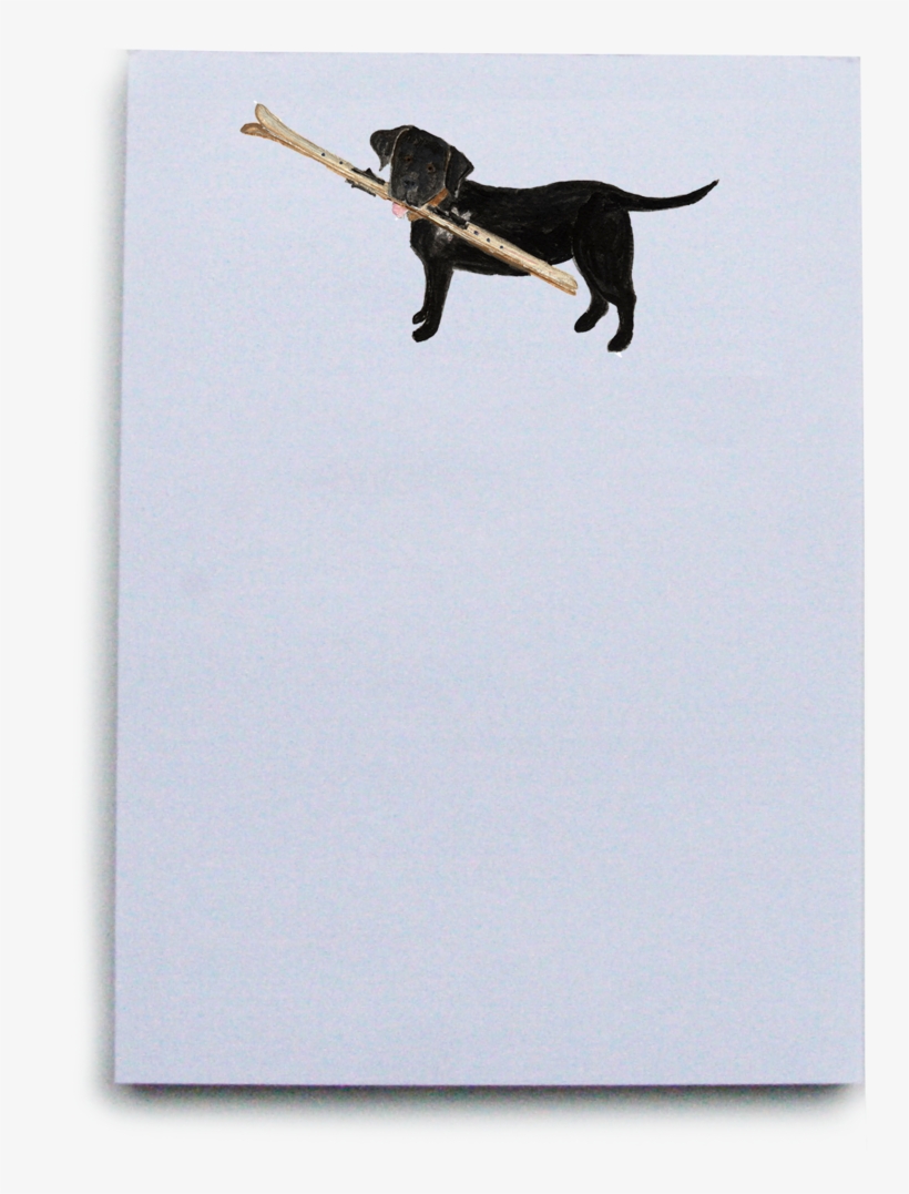 Lab With Skis - Dog Catches Something, transparent png download