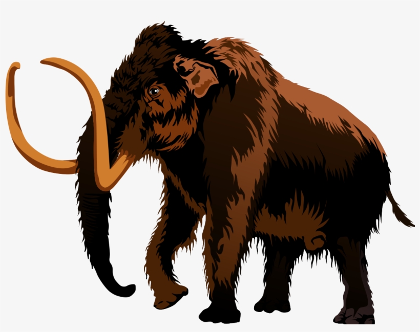 Mammoth Clip Art & Images - Mammoth Transparent PNG - 1309x927 - Free
