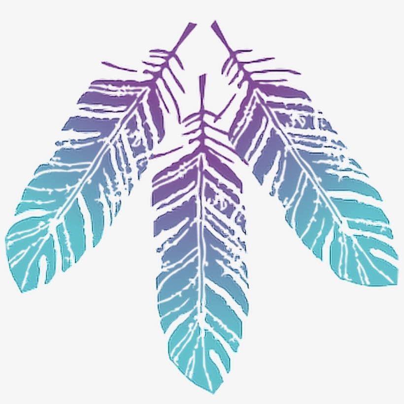 #featherset #feather #feathers #native #boho #pretty - Boho Feathers Png, transparent png download