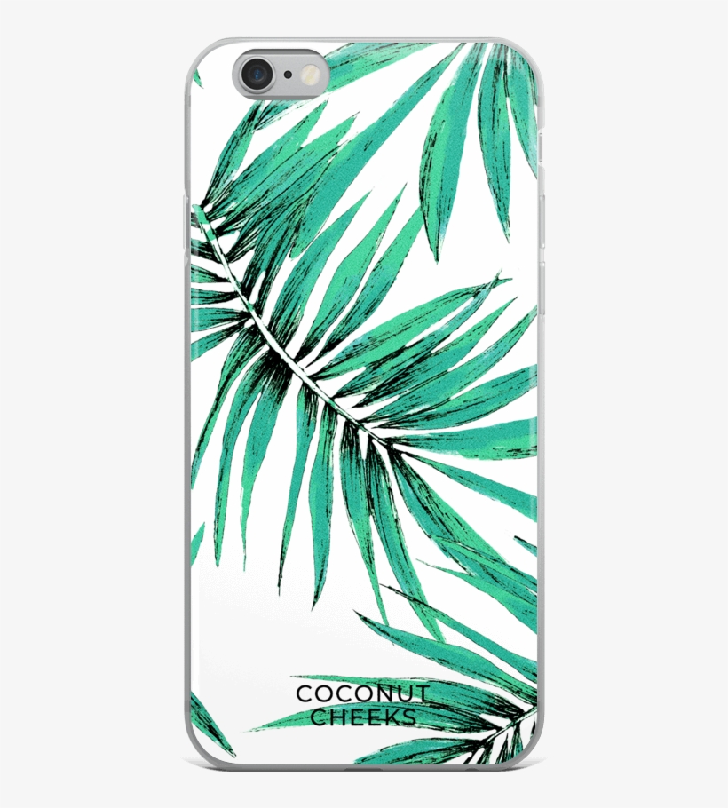 Iphone Case - Palm - Coconut Cheeks - Mobile Phone Case, transparent png download