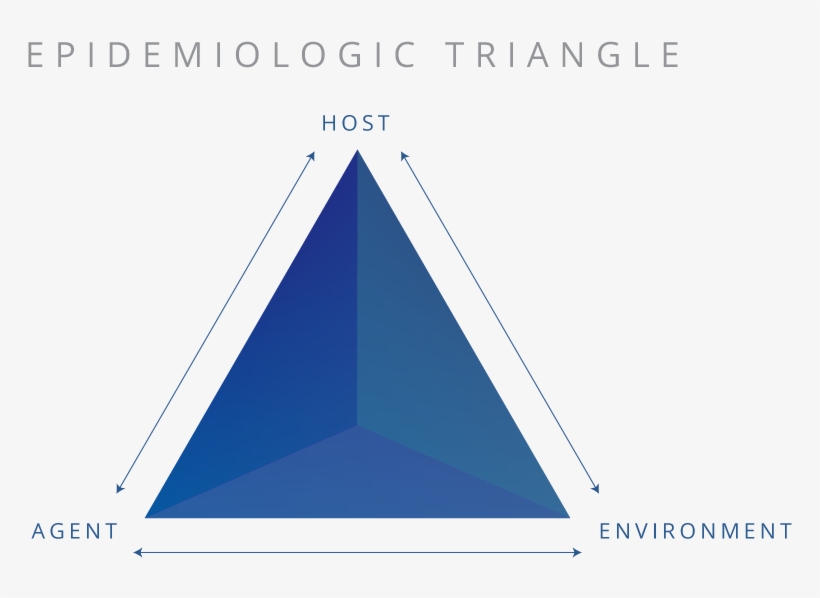 1025 X 600 3 - Triangle, transparent png download