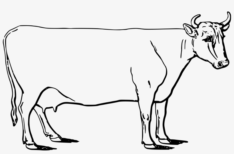 This Free Icons Png Design Of Ayrshire Cow, transparent png download