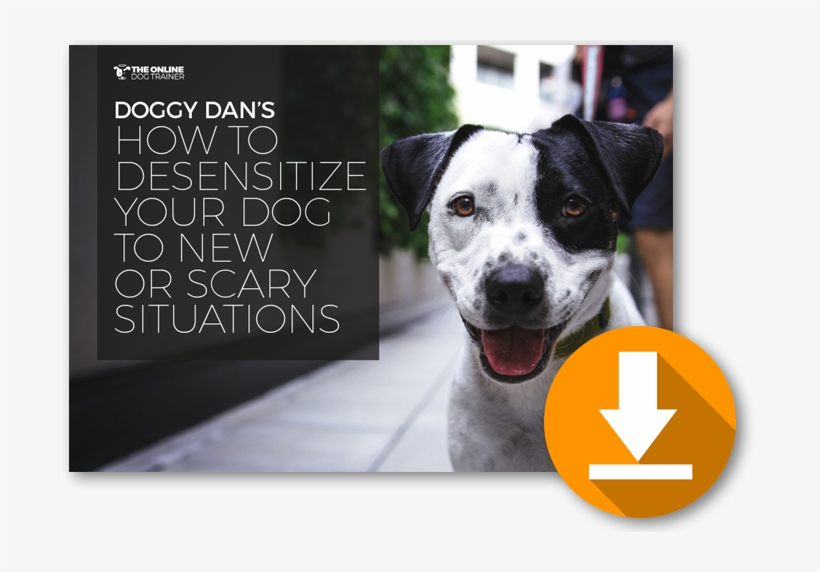 Download My Free How To Desensitize Your Dog To New - Dog, transparent png download