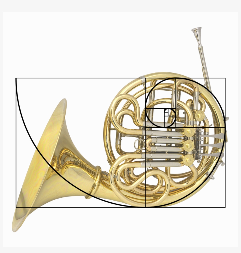 Golden French Horn - French Horn Golden Ratio, transparent png download