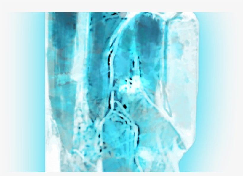 Download By Size - Blue Crystal No Background, transparent png download