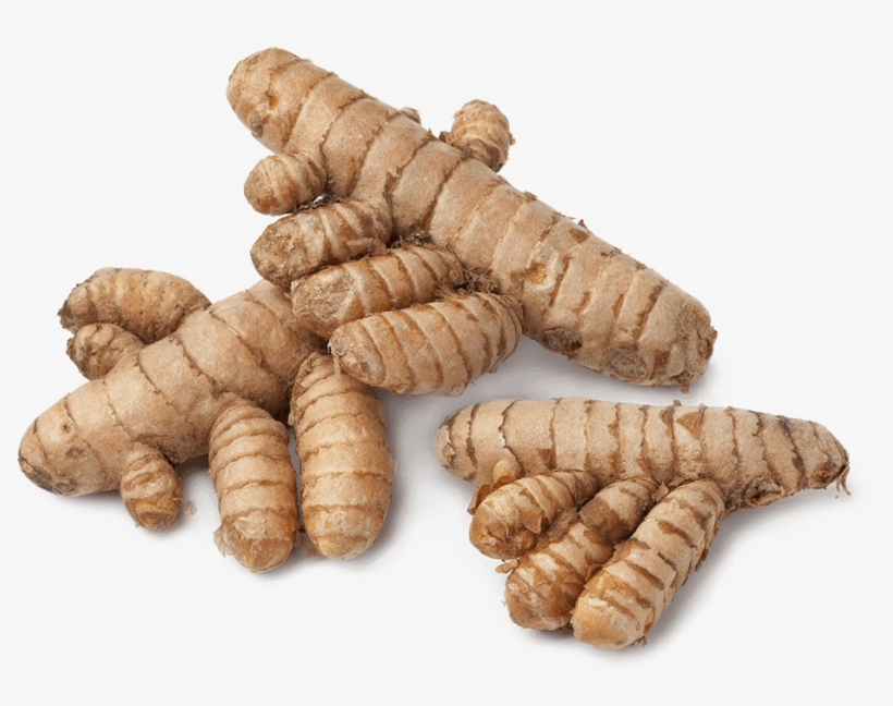 Curcumin Phytosome - Zingiber, transparent png download