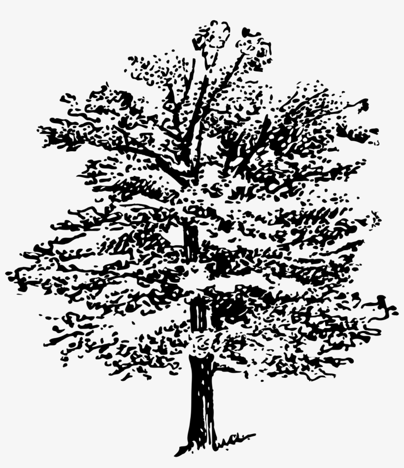 Big Image - Illustration, transparent png download