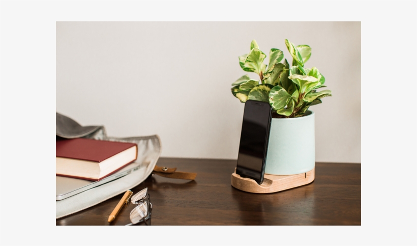 Coffee Table, transparent png download