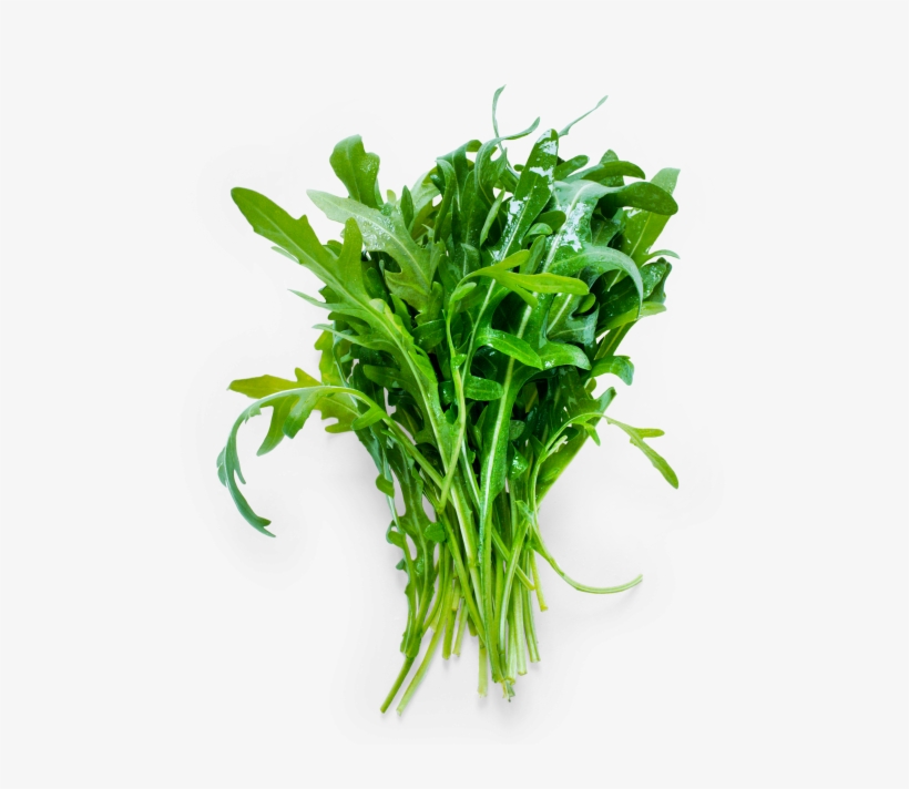 Cress - Arugula, transparent png download