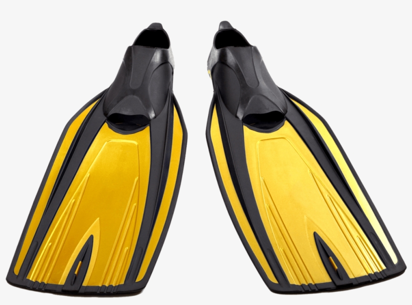 $20 - - Diving Equipment, transparent png download