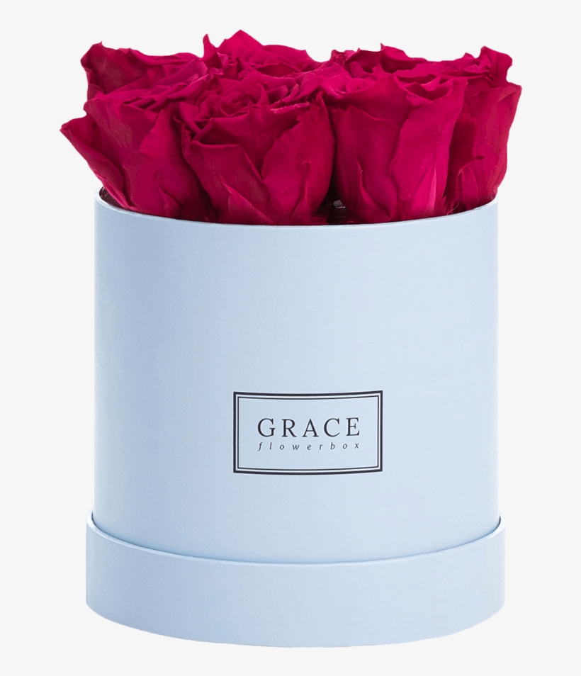 Garden Roses, transparent png download