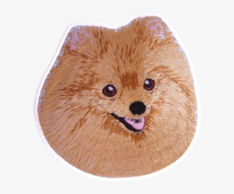 Pomeranian, transparent png download
