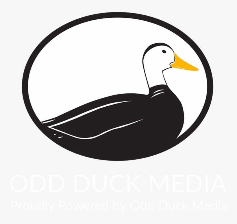 Website Builder San Antonio - Odd Duck Media, transparent png download