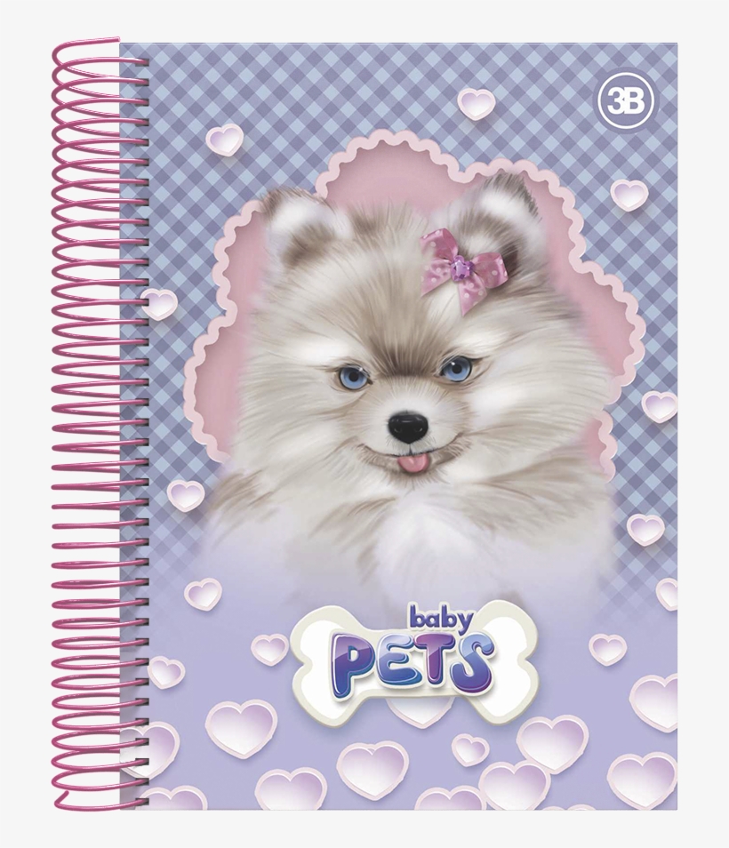 Baby Pets 3 - Pomeranian, transparent png download