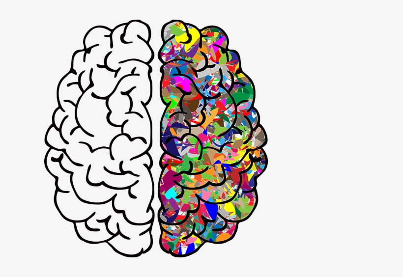 Case Art Club - Brain Background For Powerpoint, transparent png download