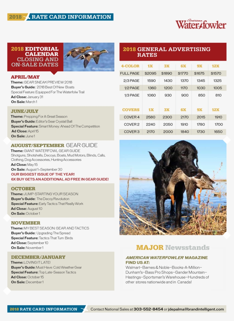 Click To View Or Download Entire 4-page Rate Card - Online Advertising, transparent png download