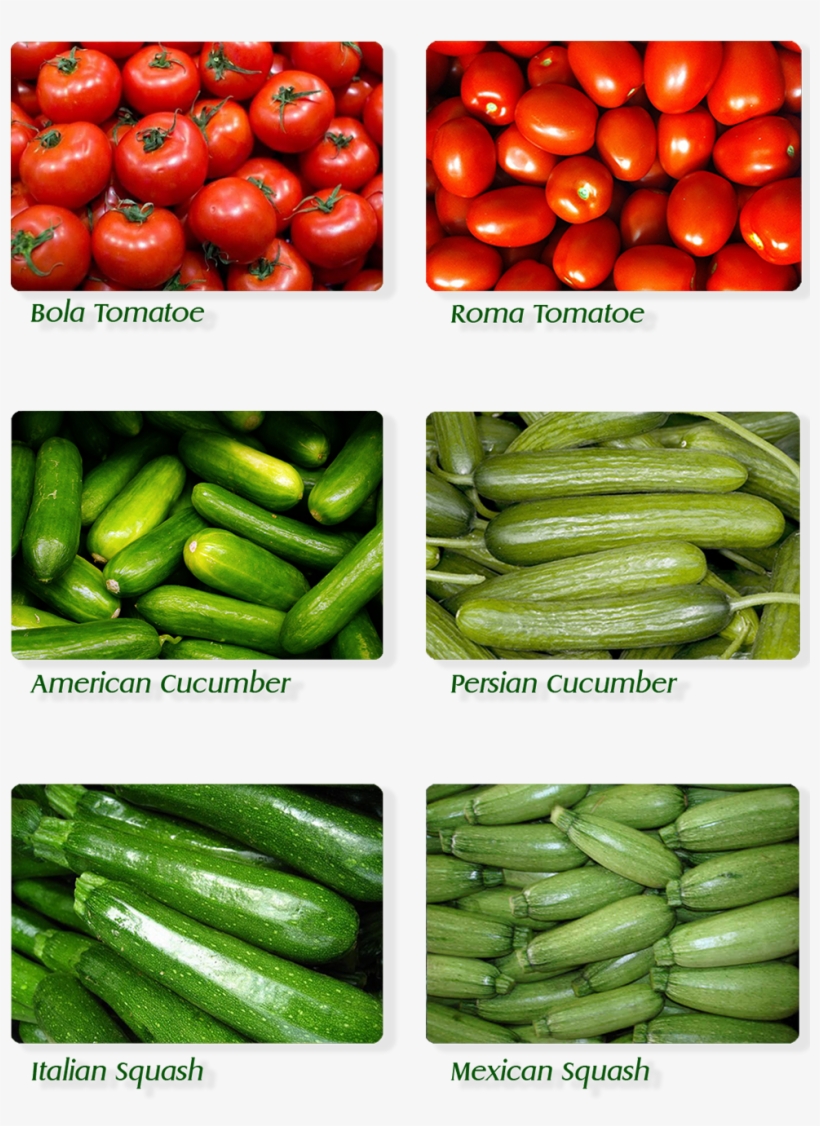 Cucumber, transparent png download