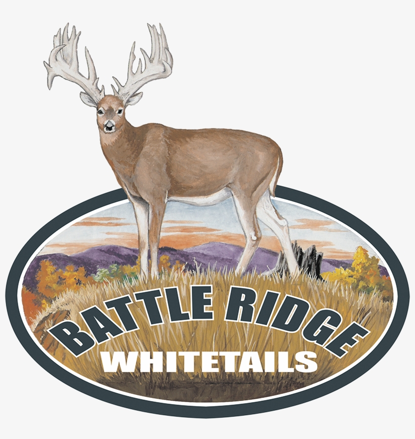Battle Ridge Whitetails - Label, transparent png download
