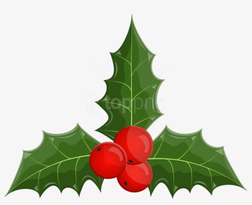 Christmas Holly Mistletoe Png - Illustration, transparent png download