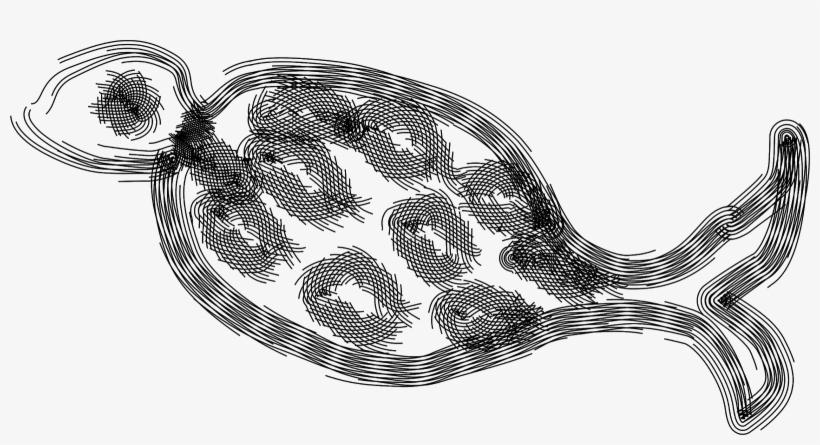 By Tex India Hub On - Illustration, transparent png download